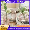 Vaso Mini de Grão Vertical Vaso Criativo Estilo Ins Cor Alta Vidro Transparente Ornamentos para Arranjo de Flores Conjunto de Vasos Pequenos