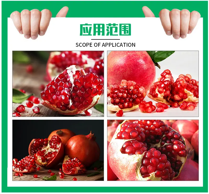 详情页重做4_08.jpg