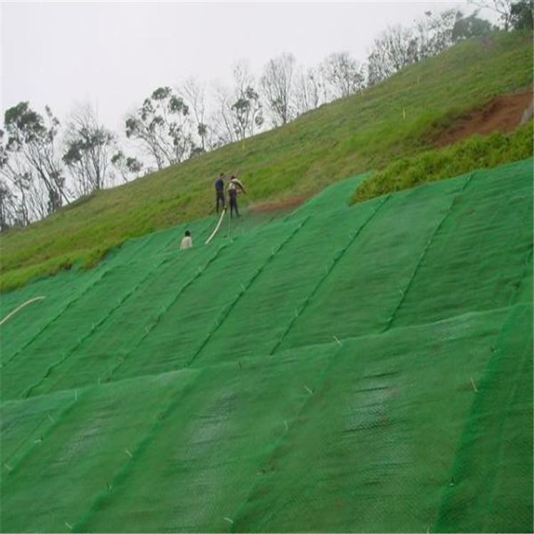 u=2393364749,1764049920&fm