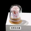 Ramo de Grava de Cristal Natural Botella de los Deseos Árbol del Dinero Adornos de Escritorio de Oficina Artesanía de Cristal Fabricante Mayorista