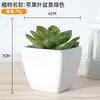 Plástico Fleshy Simulado Bonsai Decoração de Escritório Mesa Pequenos Enfeites Fleshy Adereços de Foto Flores Artificiais Falsas