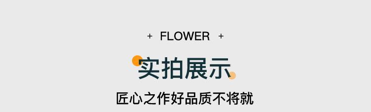 详情-(2)_13.jpg