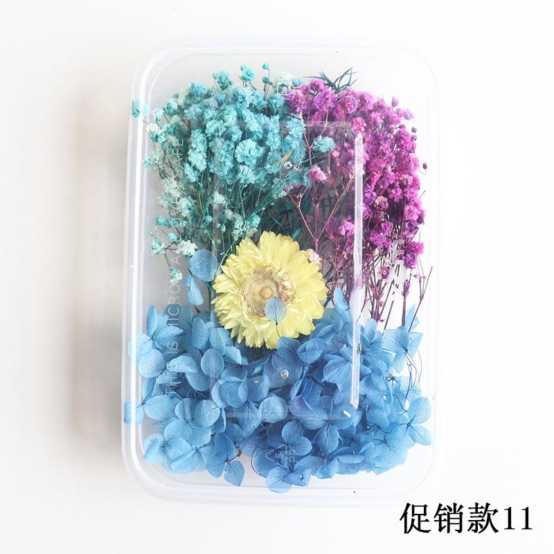 促销款11