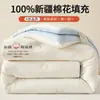 Colcha antibacteriana Classe A 100% algodão puro de algodão de Xinjiang, enchimento de colcha de inverno, colcha para primavera e outono de dormitório estudantil, adequada para todas as estações