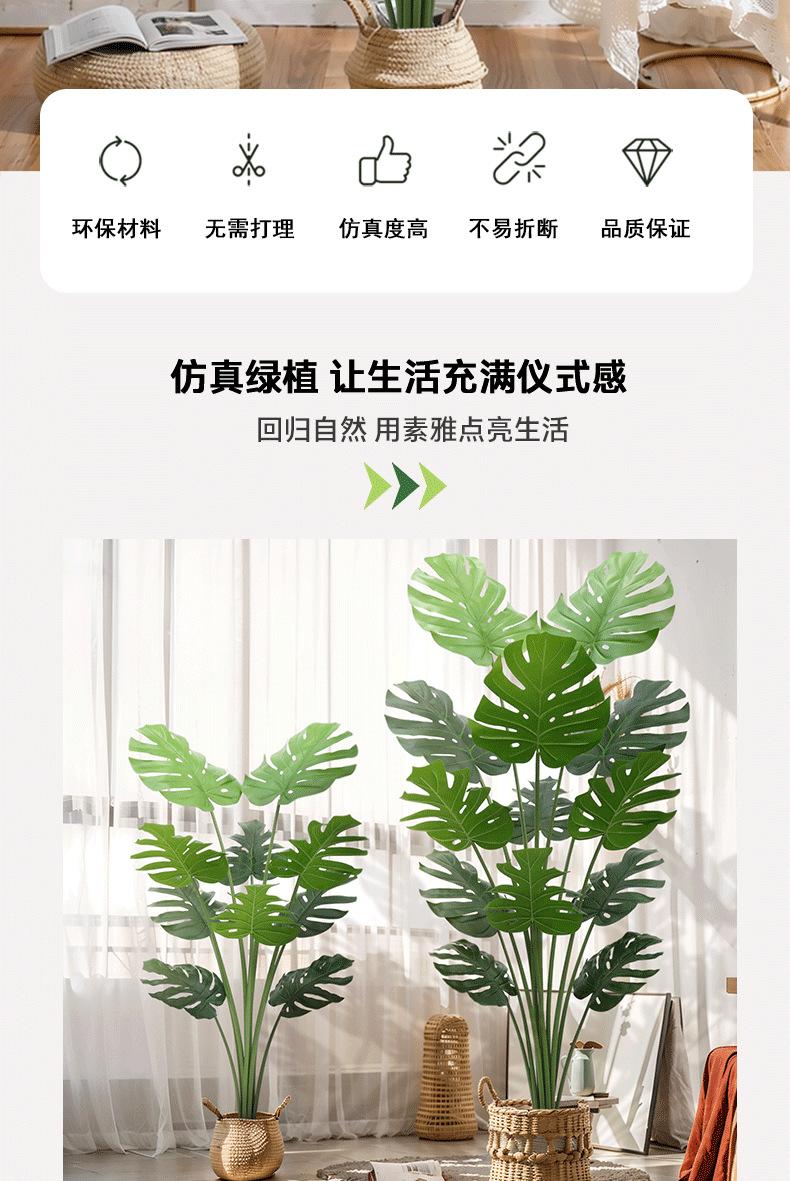 龟背-详情_02.png