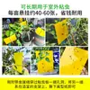 Pegatinas Trampa de Insectos Adhesivas de Doble Cara Fuerte Matanza Insectos Pequeños Voladores Pegar Moscas de la Fruta Señuelo Trampa Artefacto Capturar Mosquitos Moscas Invernadero Tablero Amarillo