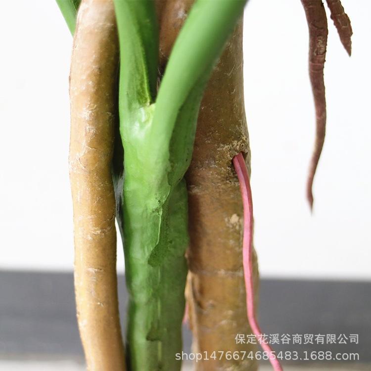 龟背叶 细节2_副本.jpg