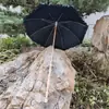 Guarda-chuva Longo Reto de Renda Fresco Estilo Europeu Lolita, Guarda-chuva para Foto, Guarda-chuva Decorativo para Performance de Dança