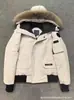 Jaqueta de Penas Pura Original 01 de Inverno, Mesmo Estilo da Jaqueta de Piloto Canadense de Putin, Unissex, Penas de Pato Branco, À Prova de Frio, Com Capuz