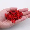 Cebo Falso Luya Gusano Suave Pesca Carpa Crucian Pequeña Cabeza Roja Gusano de Pan Boca de Caballo Micro Raya Blanca Equipo de Pesca Suministros
