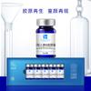 Colágeno Humanizado Tipo III Recombinante Líquido Salão de Beleza Hidratante Anti-Rugas Rejuvenescimento da Pele Essência Water-Glow Fábrica de Origem