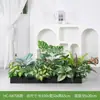 [Série Hc-An7] Caixa de Flores de Planta Verde Simulada Decoração de Sala de Estar Interna Janela de Chão a Teto Paisagismo Fotografia de Casamento Estrada