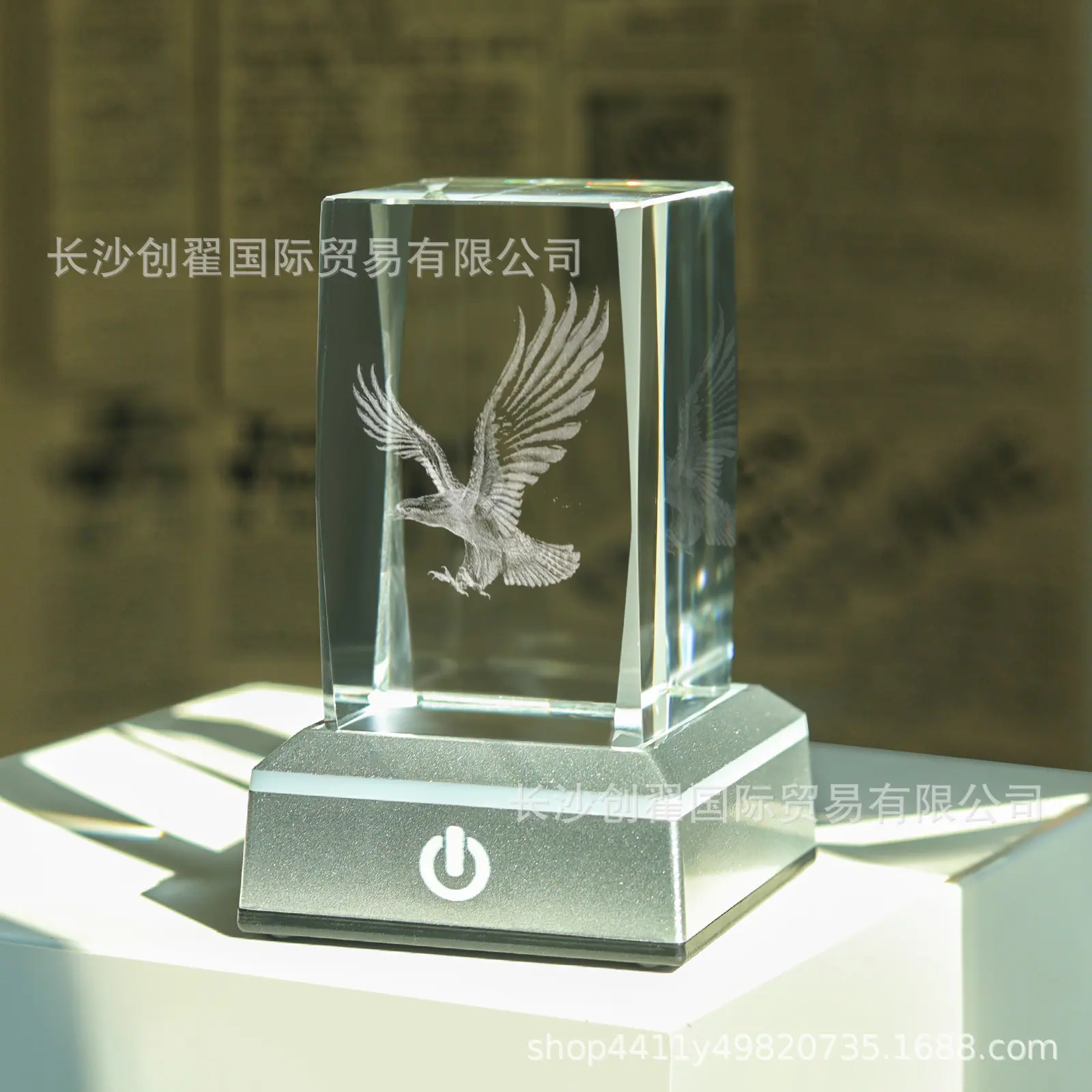 老鹰_07.jpg
