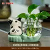 Decoração de Casa Estilo Chinês Panda Rabanete Verde Vaso Hidropônico Arranjo de Flores Vidraria Decoração de Mesa Vaso de Planta Presente