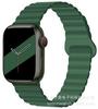 Adecuado para Apple Se Nuevo Bucle Magnético de Silicona de Doble Color Correa para Apple Watch 11ª Generación 10/987