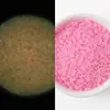 Cuentas de Burbuja Luminosas Esmeriladas Cuentas de Vidrio Luminosas No Porosas Hechas a Mano DIY Accesorios para el Cabello Joyería para Teléfono Móvil Manicura Cuentas de Burbuja
