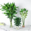 Planta Hidropônica de Bambu Phalaenopsis Flores em Vasos Plantas Verdes Flores de Interior Sala de Estar Plantas Verdes Cultivadas em Água Bambu da Fortuna de Folhas Grandes Plantas de Bambu que Crescem Cada Vez Mais Altas