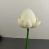 Flores de Lótus Artificiais, Folhas de Lótus, Nenúfares, Flores de Lótus de Jiangnan, Adereços de Dança, Tanque de Lótus, Decoração de Piscina de Água, Folhas Falsas