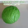 Modelo de Verdura Simulada Lechuga Falsa Repollo Brócoli Hojas Verdes Hojas de Shanghái Modelo de Gabinete Decoración para Casa
