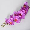 Simulação de liquidação de cola de seda, sensação de pano, 9 cabeças, flor de simulação de Phalaenopsis, orquídea, decoração de hotel para casa, flor falsa, atacado