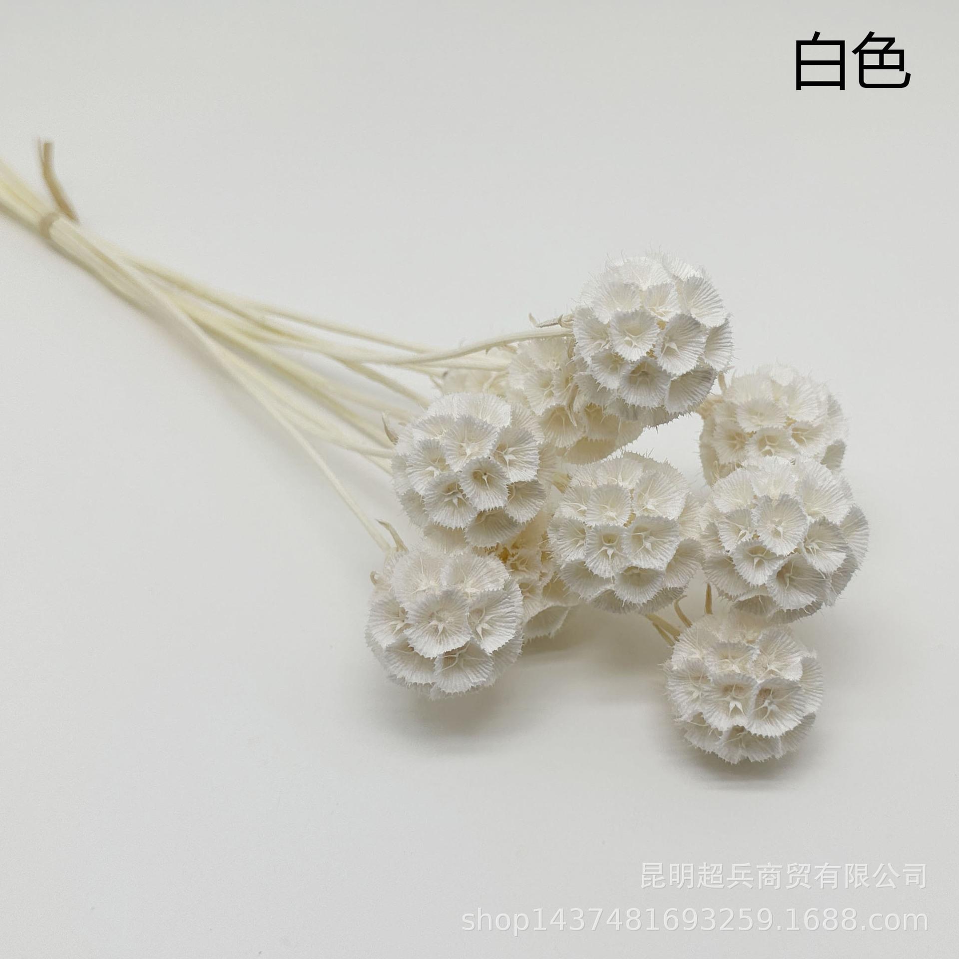 1白色.jpg