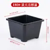 Maceta Cuadrada Engrosada Transpirable para Sedum Maceta para Flores Suculentas Plástico Pequeña Negra Cuadrada Maceta para Plántulas Flor Planta Verde Control de Raíces Anti-Pudrición de Raíz