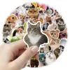 50 Pegatinas Nuevas Divertidas de Gatitos, Decoración Personalizada de Graffiti, Teléfono Móvil, Taza de Agua, Cuaderno Pegatinas Impermeables al por Mayor