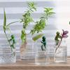 Suporte de Planta Transfronteiriço para Fixação de Plantas Verdes, Vaso de Planta Anti-Queda Jardinagem Decoração de Borda de Vaso Fixa para Cultivo