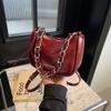 Bolsa Pequena Vermelha Sofisticada e Estilosa para Mulheres 2024 Nova Moda Bolsa Transversal Versátil Bolsa Quadrada Pequena Casual de Nicho