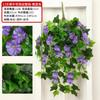 Planta de simulación, flor de trompeta de gloria de la mañana, flor colgante de pared, flor de ratán, decoración de pared, sala de estar, orquídea colgante, cesta colgante, flor falsa al por mayor