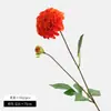 Venta directa de fábrica: Dalias holandesas, manzanilla, crisantemos bola, arreglos florales para decoración del hogar, accesorios, ramos hidratantes