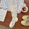 Calcetines Finos para Pantorrilla Youjiaxxiu Primavera y Verano Patrón de Diamantes Retro Color Sólido Transpirables Versátiles Adelgazantes Calcetines de Tubo Largo
