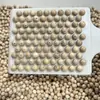 Venda Direta de Fábrica de Contas de Madeira de Cânfora Natural, Contas de Oração, Pulseiras de Incenso de Sândalo, Contas Soltas para DIY em Vários Tamanhos, Repelente de Mosquitos no Atacado