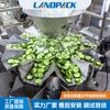 Máquina Empaquetadora Horizontal de Pesaje Automático Máquina Empaquetadora de Bolsas para Fruta Seca Máquina Empaquetadora de Bolsas para Alimentos Liofilizados Máquina Empaquetadora de Trozos de Pepino