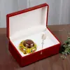 Yuerui Latas de Té Esmaltadas Cajas de Regalo Almacenamiento de Materiales Medicinales de Alta Gama Sello Pequeño Altar Cerámico Botella de Té Grande Vacía