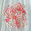 Lazo de Cinta Cinta Macarrón Estilo Ballet Resina Tarjetas Fabricación Empaque Decoración Cáñamo Fluido Uñas Arte Juguete de Apretar Decoración