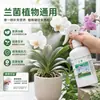 Solución Nutritiva Especializada para Orquídeas y Otras Plantas, Promoviendo Floración Rápida y Flores Abundantes, Adecuada para Jardinería Casera