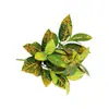 Planta Artificial Planta Verde Maceta Hojas Decorativas Pared de Plantas Arreglo Floral Accesorios Ramo de 7 Horquillas Hoja de Tortuga Hoja de Rábano Verde