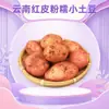 Papas Pequeñas Pegajosas de Piel Roja y Corazón Rosa de Yunnan, disponibles para entrega 3/5/ 4.5 kg Papas Mini Pegajosas Fragantes de Corazón Amarillo, verduras frescas de temporada