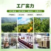 Productos en Stock del Fabricante con Envío Gratis: Aceite Esencial de Aromaterapia de Origen Vegetal Único, Materias Primas Químicas de Uso Diario, Aceite Esencial de Aromaterapia de Sándalo