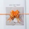 Guirnalda de Cinta Decoración de Coche de Bodas Envoltura de Regalos Mariposa Habitación de Boda Techo Escaleras Sala de Estar Guirnalda de Tul