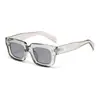 Gafas de sol Jamie 5205 con Montura Cuadrada Nueva, Gafas Decorativas de Plástico a la Moda, Gafas de Sol Pequeñas de Montura Tendencia Europeas y Americanas