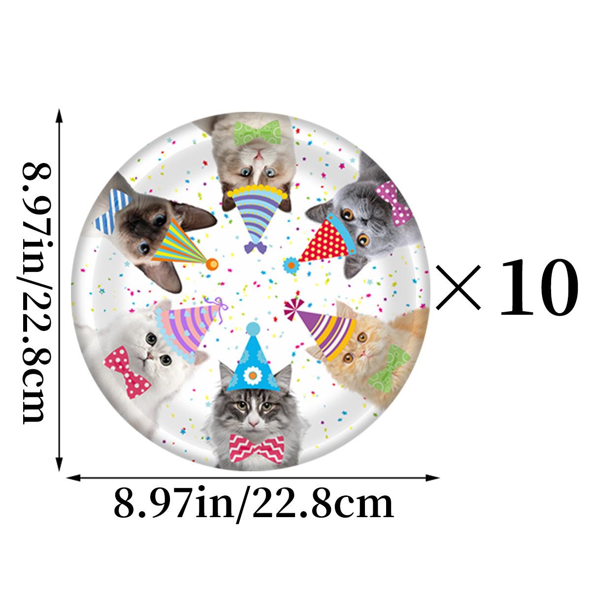 纸盘9寸-1