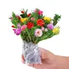 Plántulas de Girasol de Doble Pétalo Inmortales con Raíces y Brotes Enviadas en Maceta Florales Balcón Plantas Verdes Florecientes