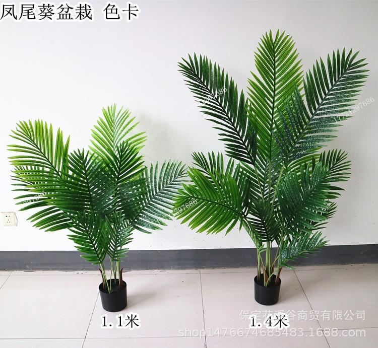 凤尾竹盆栽 色卡_副本.jpg