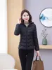 Jaqueta Feminina Curta de Algodão para Outono e Inverno, Nova Jaqueta Acolchoada de Algodão Leve Slim-Fit Quente, Jaqueta Acolchoada de Algodão Versátil da Moda para Tamanhos Grandes
