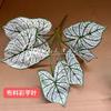 Guanyinlian de siete cabezas Pasto Pico de Bambú Flores de Simulación para Boda Plantación Verde Hoja de Color a Mano Taro Sagitaria Murraya Material de Flor Mori