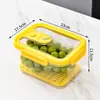 Contenedor de Almacenamiento de Alimentos con Cesta Drenadora y Dial de Fecha, Varios Tamaños, 1031-1035