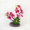 Película Impresa en 3D Nueva 12 Flores Phalaenopsis Bonsái Flor Fábrica Suministro Directo Moda Decoración del Hogar