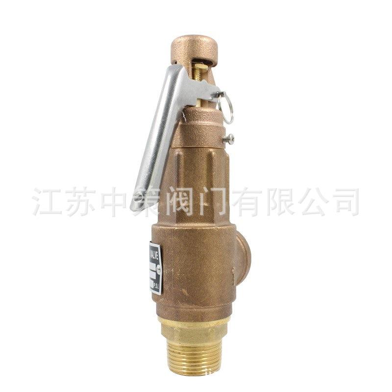 S10L安全阀3